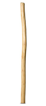 Medium Size Natural Finish Didgeridoo (TW793)